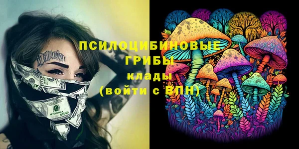Альфа ПВП Балабаново