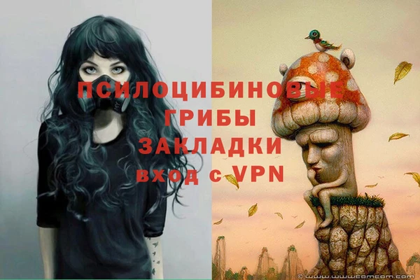 Альфа ПВП Балабаново