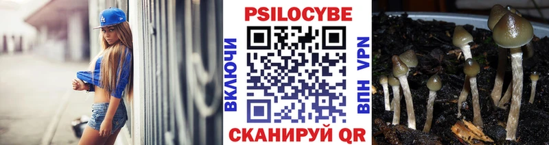 купить   Озёрск  Псилоцибиновые грибы MAGIC MUSHROOMS 