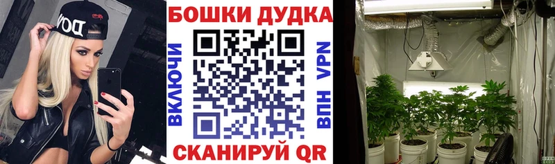 где можно купить наркотик  Озёрск  Шишки марихуана конопля 